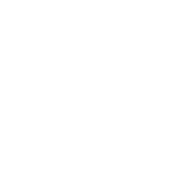 CAMERRA Logo