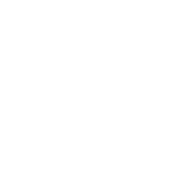 FORCE Logo