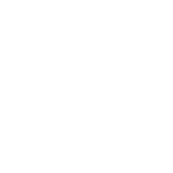 MAIL MAX Logo