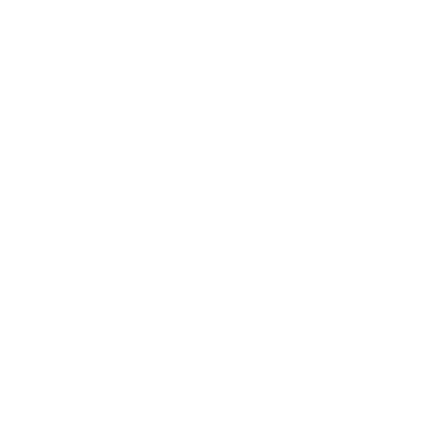REVERZ Logo