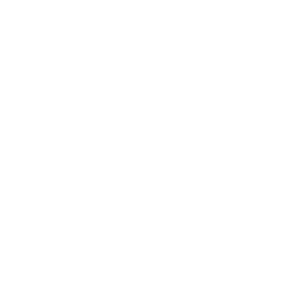 ZIGWOO Logo
