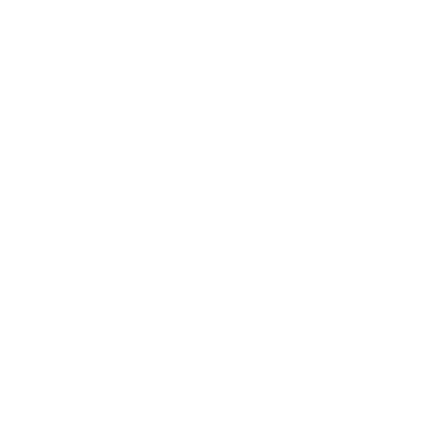 VIZION Logo
