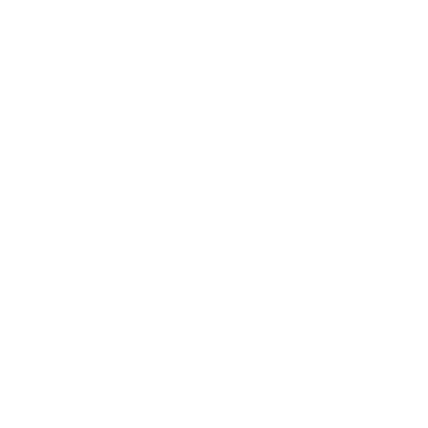 ZE(B)D ONE Logo